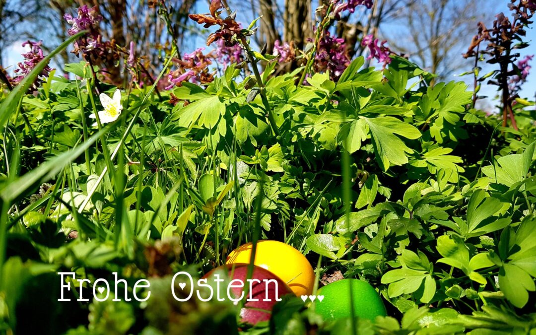 Frohe Ostern …